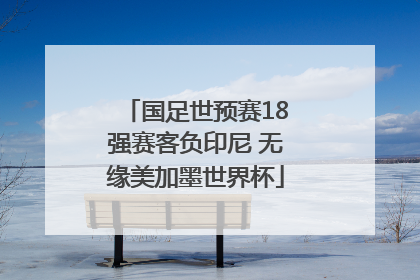 国足世预赛18强赛客负印尼 无缘美加墨世界杯